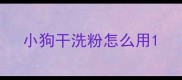 小狗干洗粉怎么用