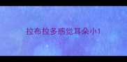 拉布拉多感觉耳朵小