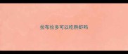 拉布拉多可以吃熟虾吗