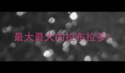 最大最大的拉布拉多