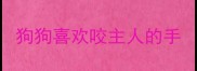 狗狗喜欢咬主人的手