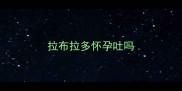 拉布拉多怀孕吐吗