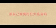 被自己家狗打狂犬疫苗吗