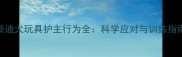 泰迪犬玩具护主行为全科学应对与训练指南