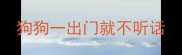 狗狗一出门就不听话