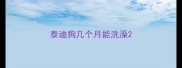 泰迪狗几个月能洗澡