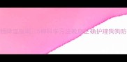 夏季宠物降温指南5种科学方法教您正确护理狗狗防暑降温