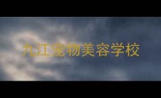九江宠物美容学校