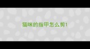 猫咪的指甲怎么剪