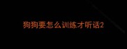 狗狗要怎么训练才听话