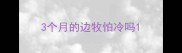 3个月的边牧怕冷吗