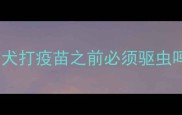 幼犬打疫苗之前必须驱虫吗