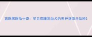 蓝眼黑眼哈士奇罕见双瞳混血犬的养护指南与品种