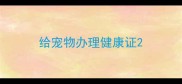 给宠物办理健康证