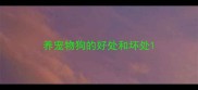 养宠物狗的好处和坏处