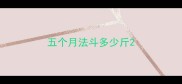 五个月法斗多少斤