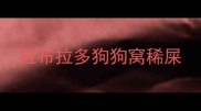 拉布拉多狗狗窝稀屎