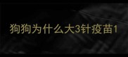 狗狗为什么大3针疫苗