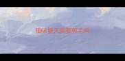 猫咪夏天需要剪毛吗