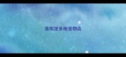 洛阳派多格宠物店