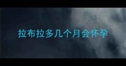 拉布拉多几个月会怀孕
