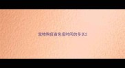 宠物狗疫苗免疫时间的多长