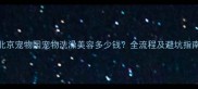 北京宠物园宠物洗澡美容多少钱全流程及避坑指南
