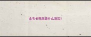 金毛长眼屎是什么原因
