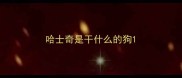 哈士奇是干什么的狗