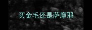 买金毛还是萨摩耶