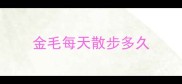 金毛每天散步多久