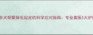 拉布拉多犬频繁掉毛起皮的科学应对指南专业兽医5大护理方案
