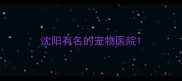 沈阳有名的宠物医院
