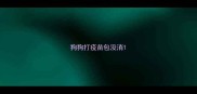 狗狗打疫苗包没消
