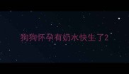狗狗怀孕有奶水快生了