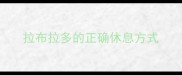 拉布拉多的正确休息方式