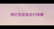 狗打完疫苗后打喷嚏