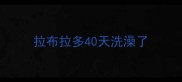 拉布拉多40天洗澡了