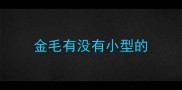 金毛有没有小型的