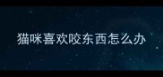 猫咪喜欢咬东西怎么办