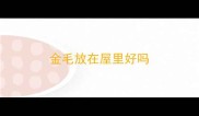 金毛放在屋里好吗