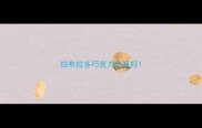 拉布拉多巧克力色算好