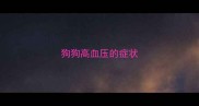 狗狗高血压的症状