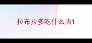 拉布拉多吃什么肉