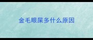 金毛眼屎多什么原因
