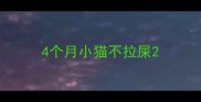 4个月小猫不拉屎