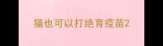 猫也可以打绝育疫苗
