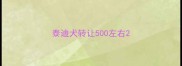 泰迪犬转让500左右