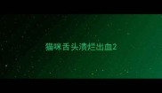 猫咪舌头溃烂出血