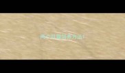两个月猫饲养方法